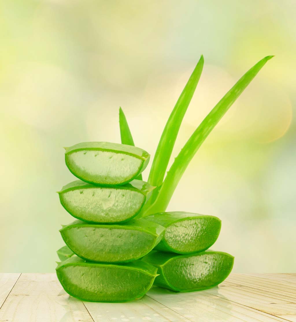 9 Benefits of Aloe Vera (Infographic), image size:1024x1117