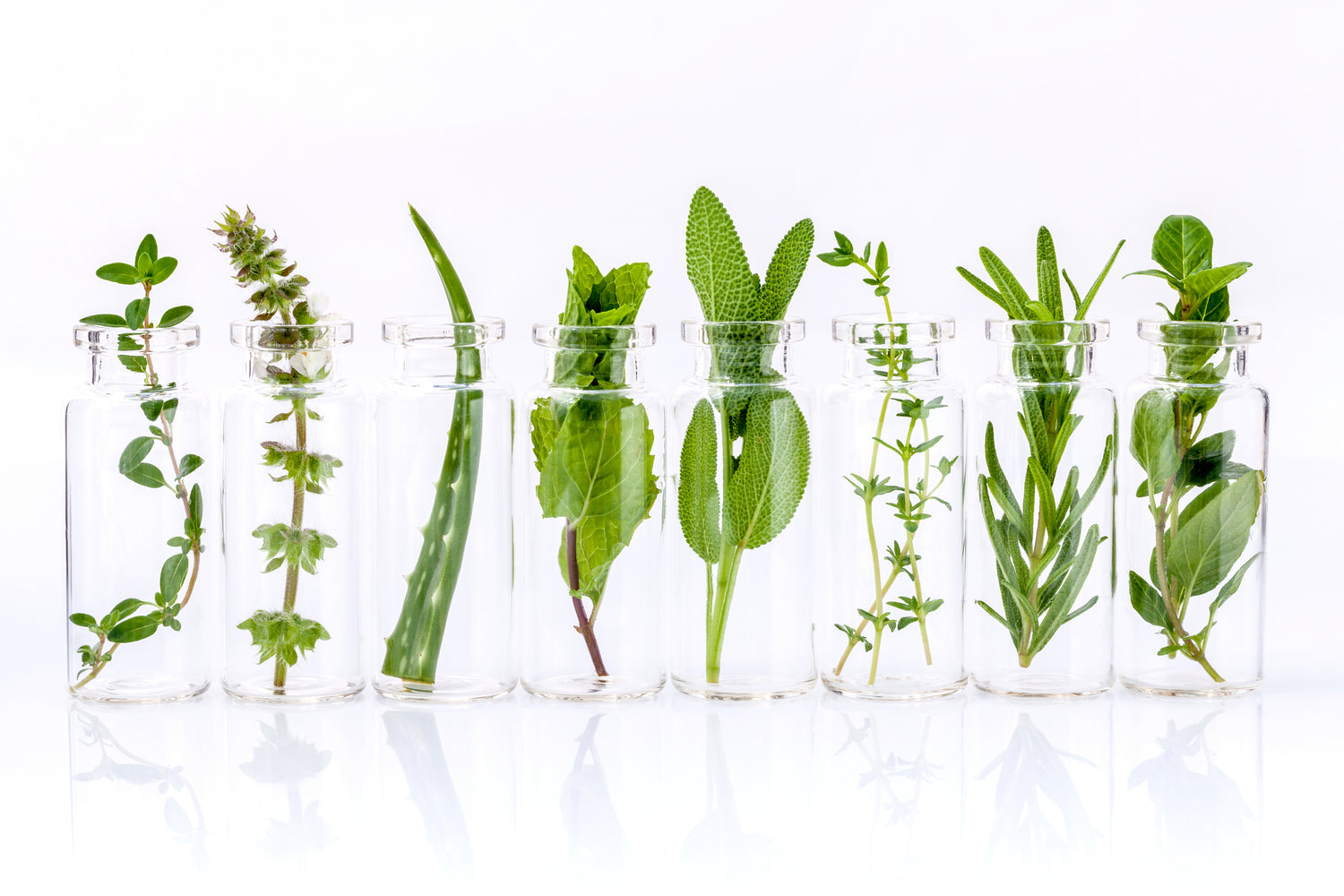 Best Essential Oils for Skin Care