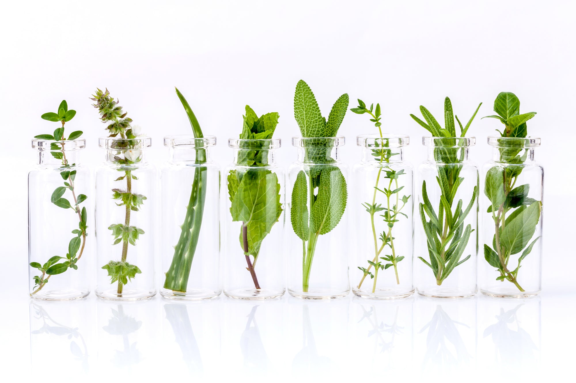 Best Essential Oils for Skin Care
