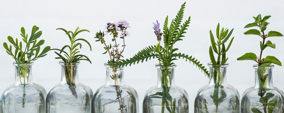 Top 15 Natural Essential Oils For Beautiful Skin & Body