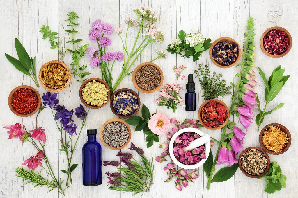 10 Must Have Immune Boosting Essential Oils