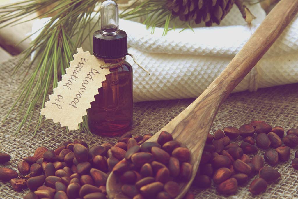 Benefits and Uses of Cedarwood Essential Oil