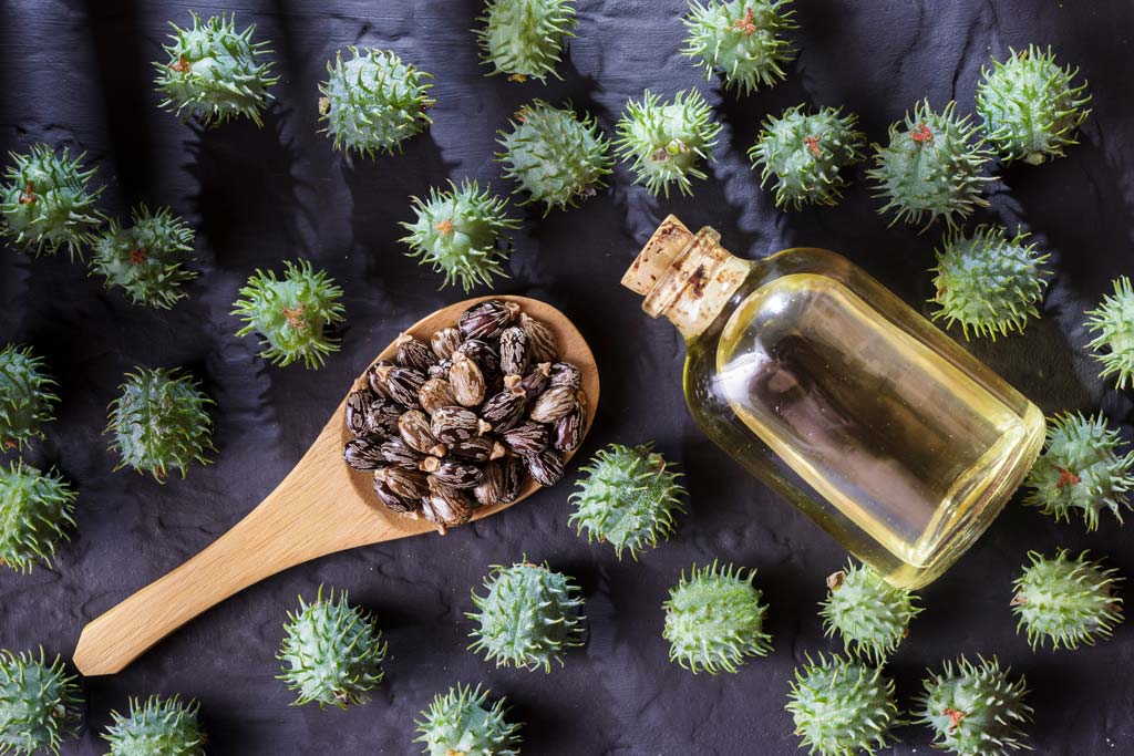 Why To Opt For Jamaican Black Castor Oil Over Regular Castor Oil