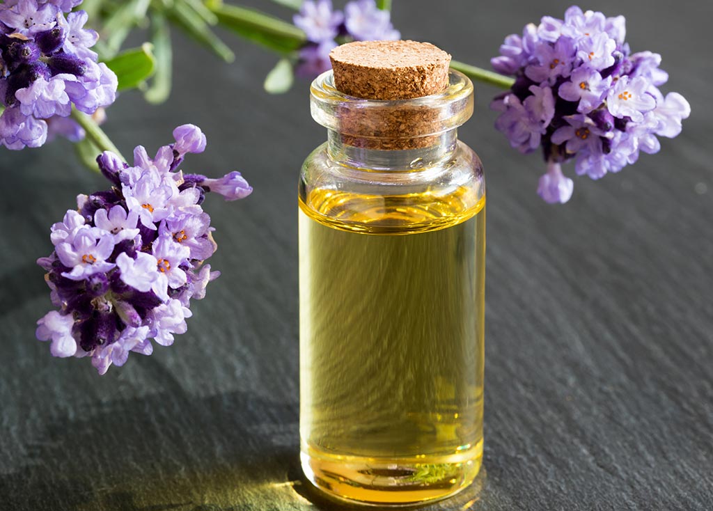 8 Types of Lavender Essential Oil