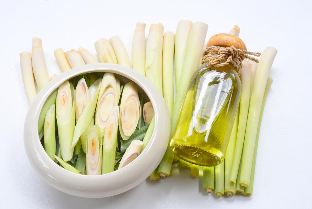 Lemongrass Essential Oil for hair growth