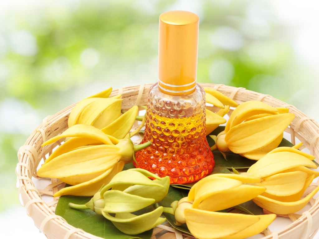 YLANG YLANG Essential oil