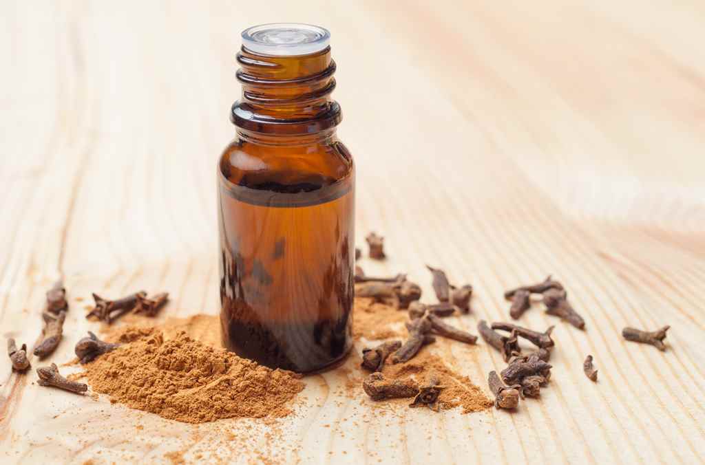 Benefits of Clove Oil for Hair Growth