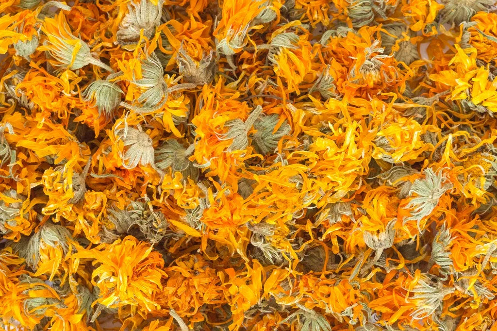 INGREDIENTS IN DEPTH CALENDULA OFFICINALIS FLOWER EXTRACT