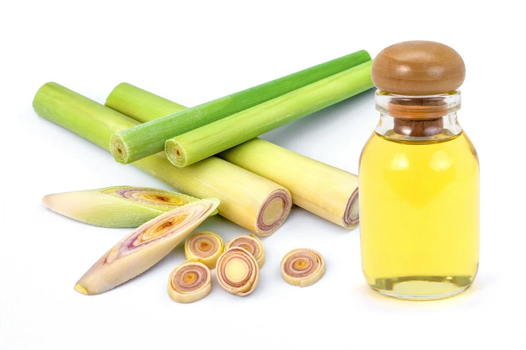INGREDIENTS IN DEPTH LEMONGRASS OIL