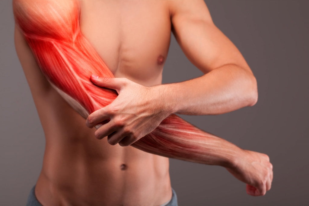 Oils For Healing Muscle Soreness