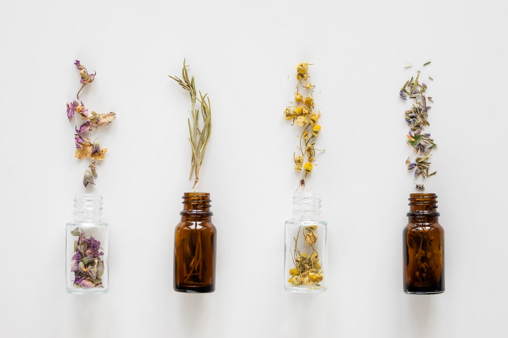 Facing Hair Loss? Try Herbs For Improving Hair Growth and Thickness