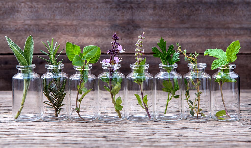 Essential Oils kept side by side