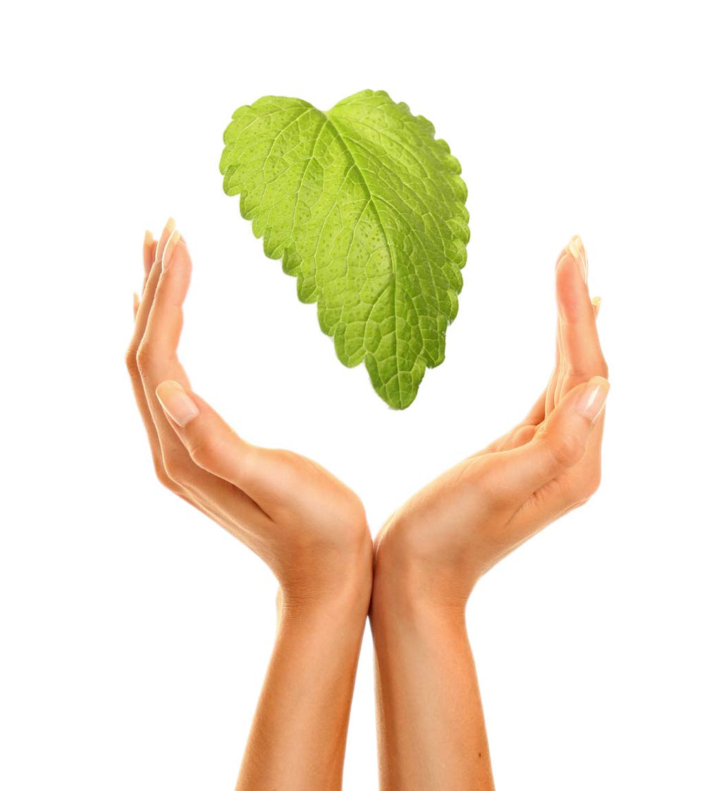 Best 22 Benefits of Mint Leaves (Pudina) for Skin, Hair & Health