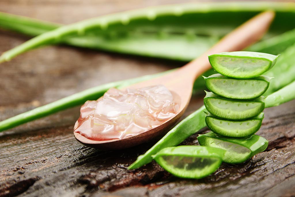 10 Amazing Beauty Benefits Of Aloe Vera For Skin