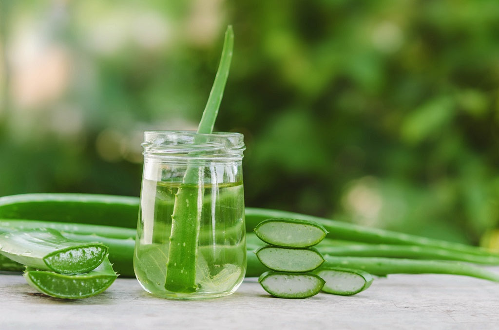 Benefits of Aloe Vera for Skin, Hair and Health