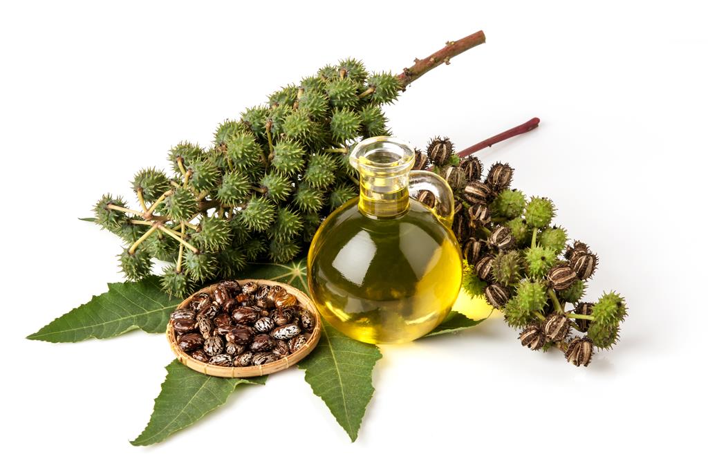 Castor Oil for Massage - Tips and How to Use