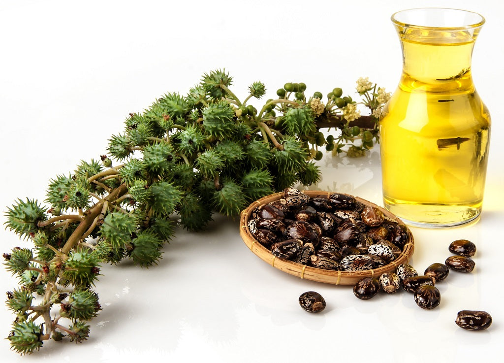 Castor Oil And Its Incredible Beauty Benefits