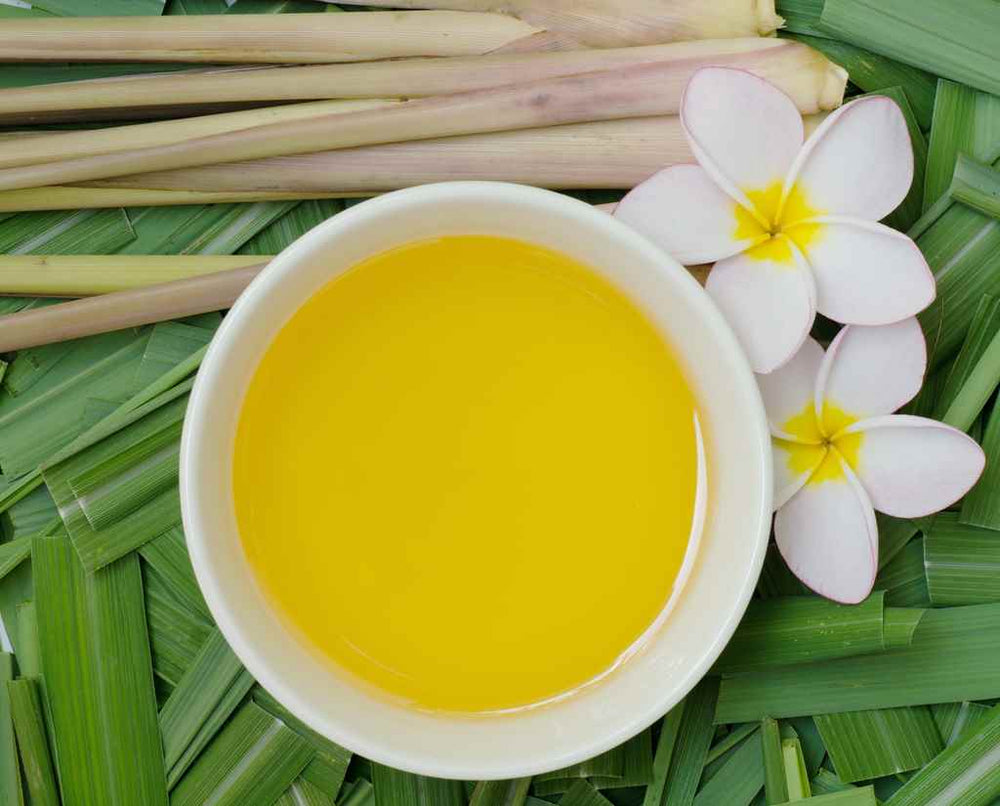 Citronella Oil 6 Side Effects and 2 Precautionary Tips
