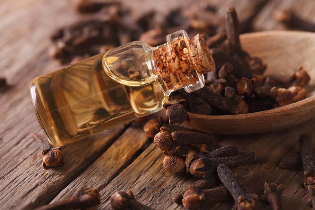 8 Benefits of Clove Oil