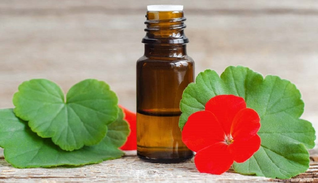 9 Benefits of Geranium Oil