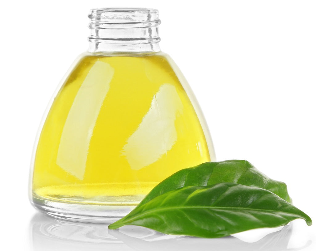 Green Tea Seed Oil- A Super Food For Skin