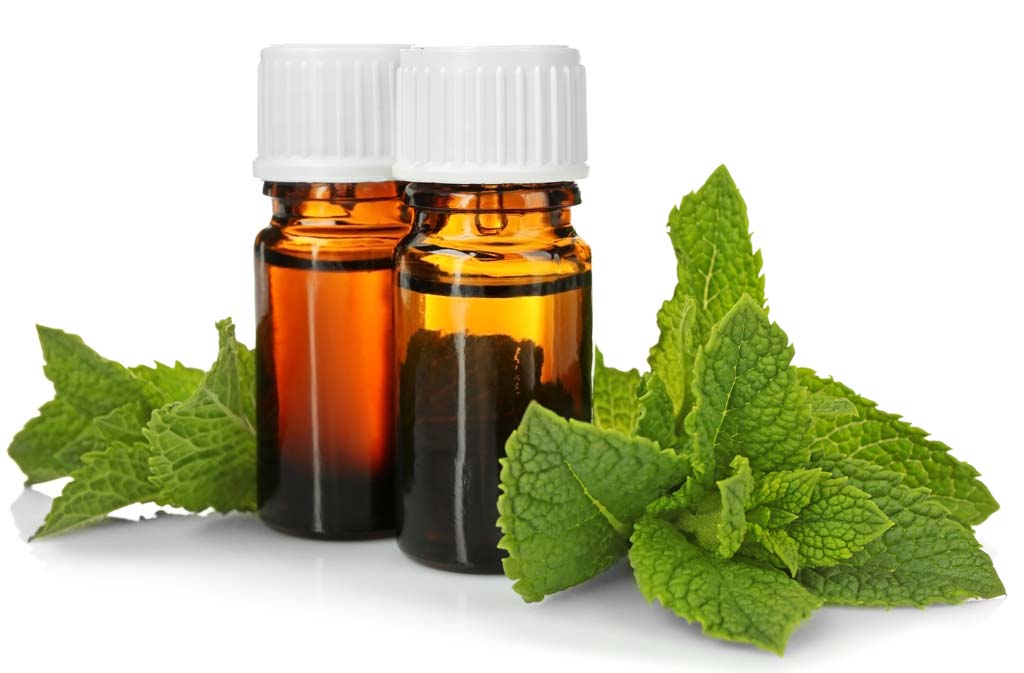 How to Use Peppermint Oil for Health, Hair and skin