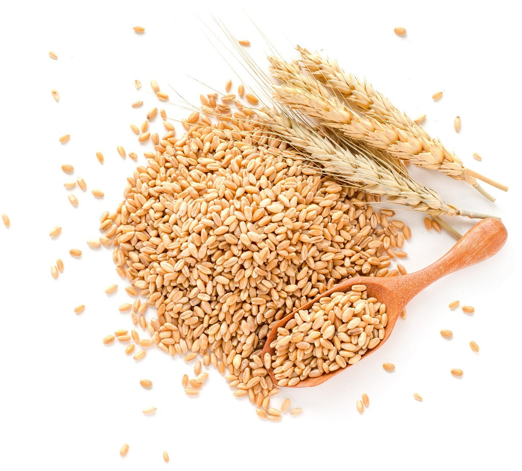Hydrolyzed Wheat Protein For Strengthening Your Hair