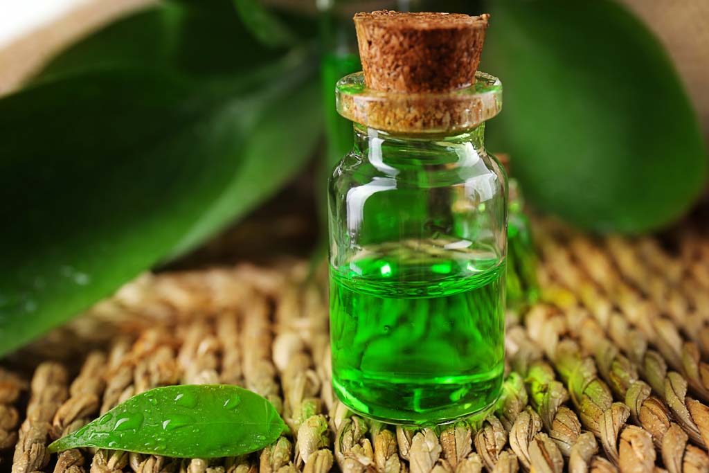 Coconut Oil and Tea Tree Oil