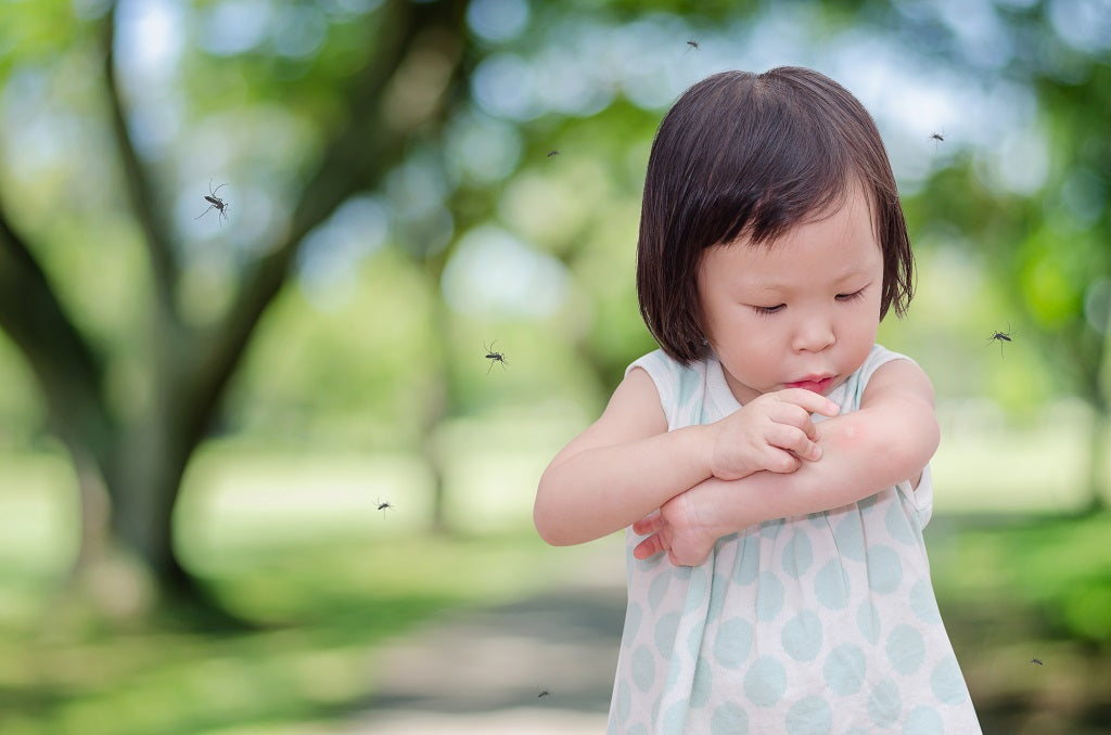 15 Best Ways to Keep Mosquito Away from the House