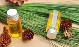 Pine Essential Oil¬†