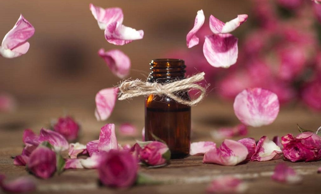 7 Benefits of Rose Oil