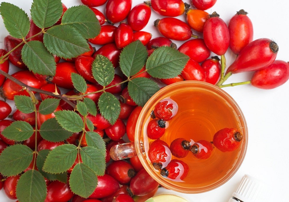 Benefits of Rosehip Oil for Skincare