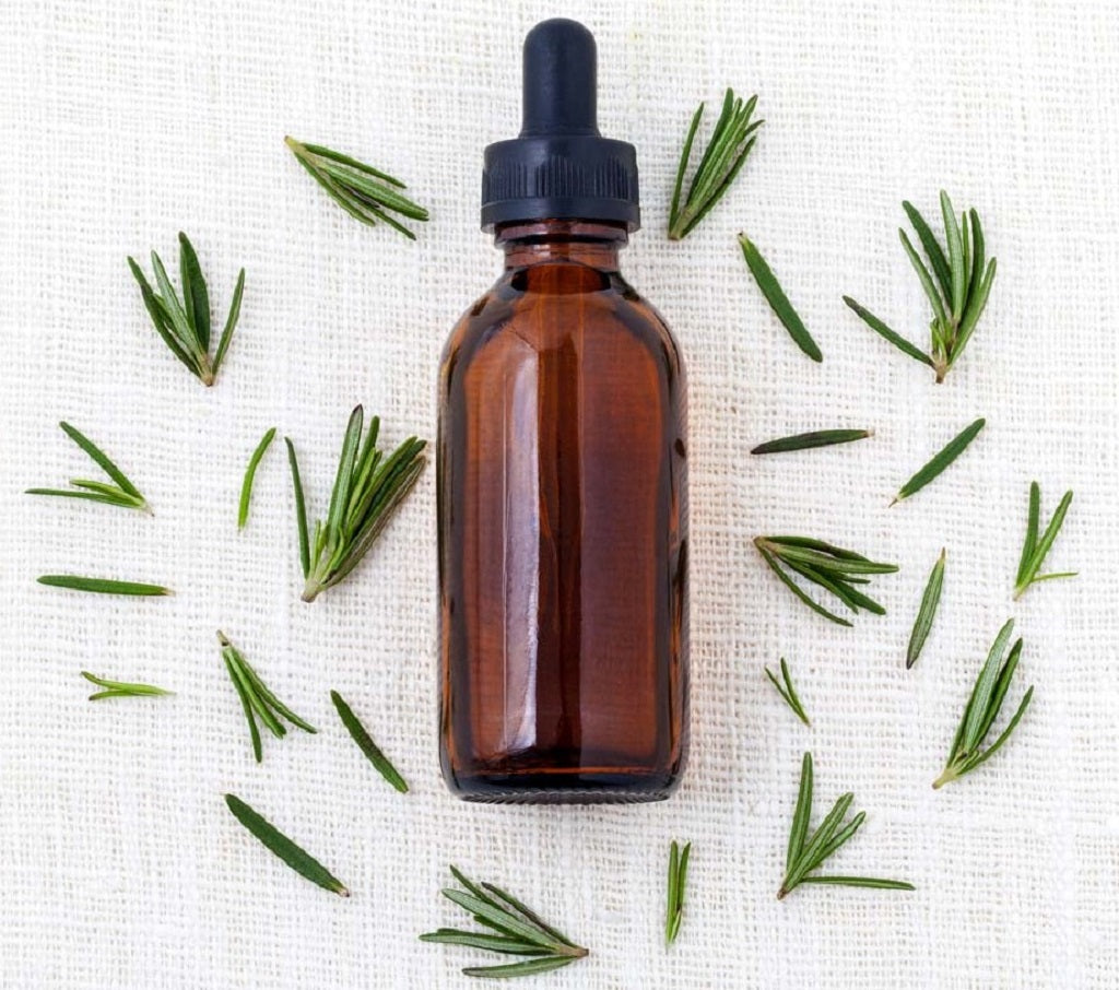 7 Health Benefits of Rosemary Oil