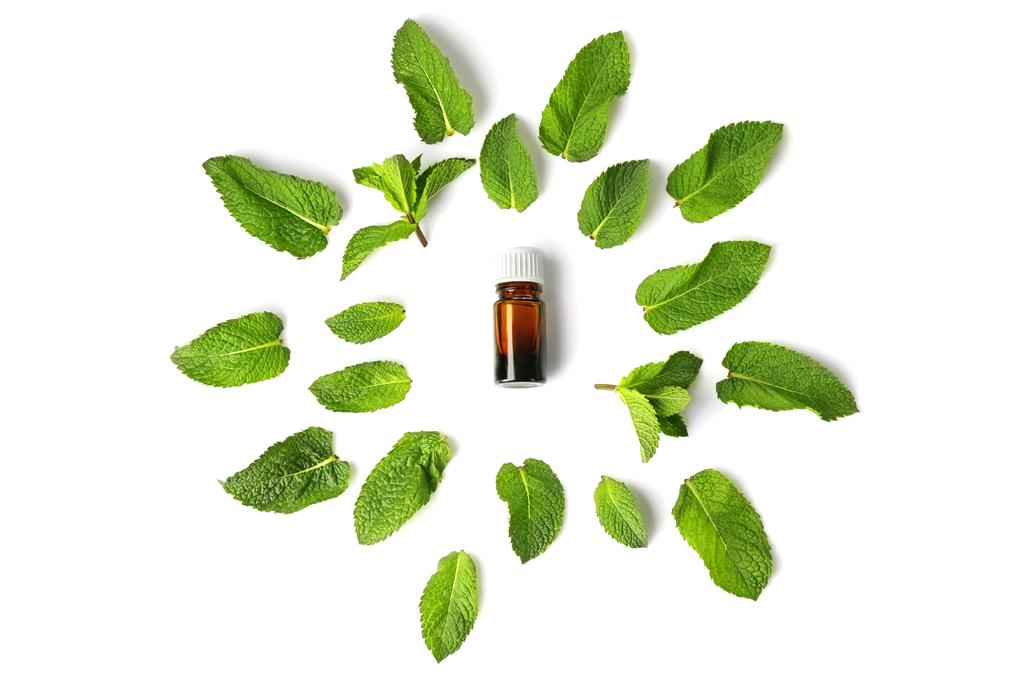 Side-Effects-of-Peppermint-Oil-that-you-Should-be-Aware
