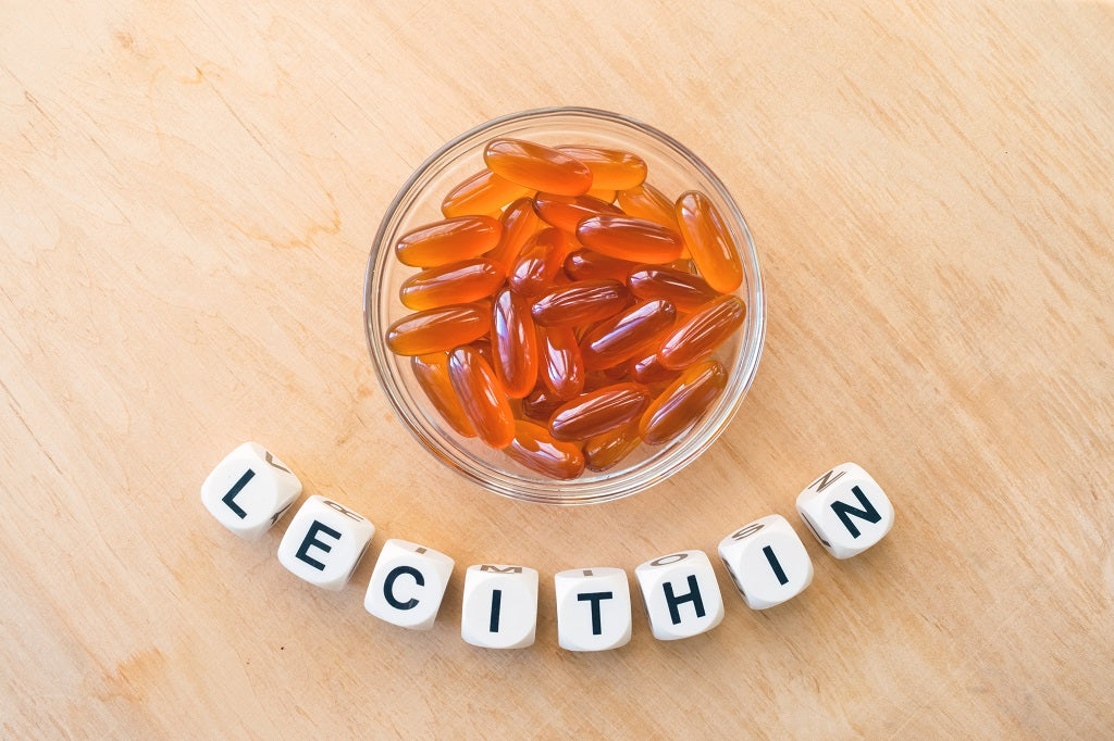 Skincare Benefits Of Soy Lecithin