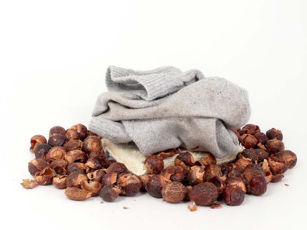 Soap Nut (Reetha) - Amazing Benefits with its Uses