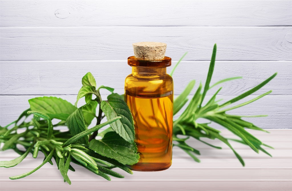 Top 10 Benefits of Tea Tree Oil for Health