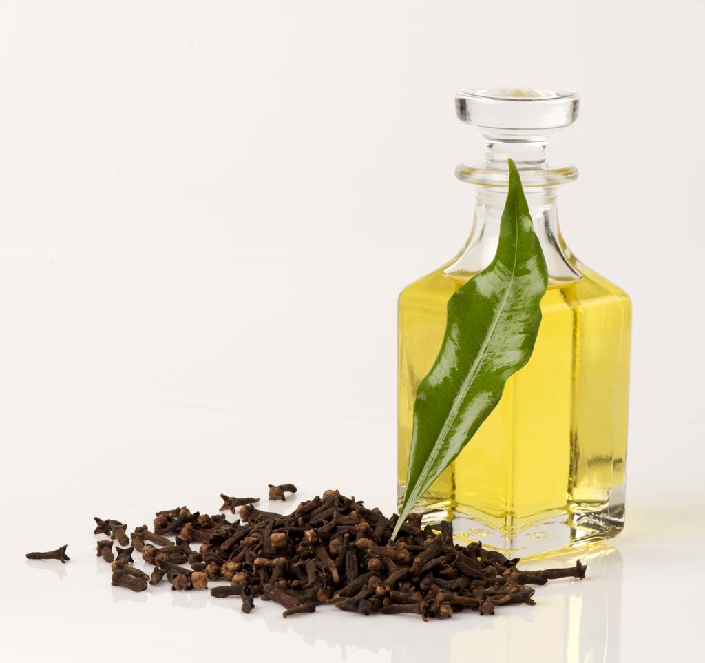 Top-20-Clove-Oil-Benefits-and-Uses_477806620