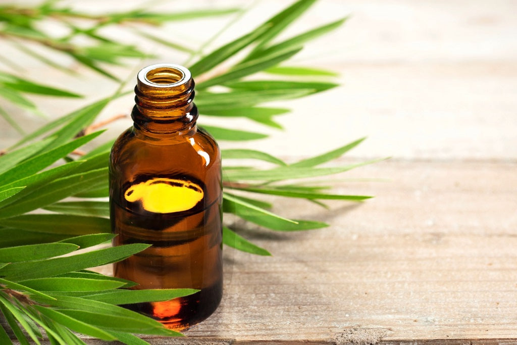 Don't Stress Over Acne; This Essential Oil Can Banish Pimples Overnight