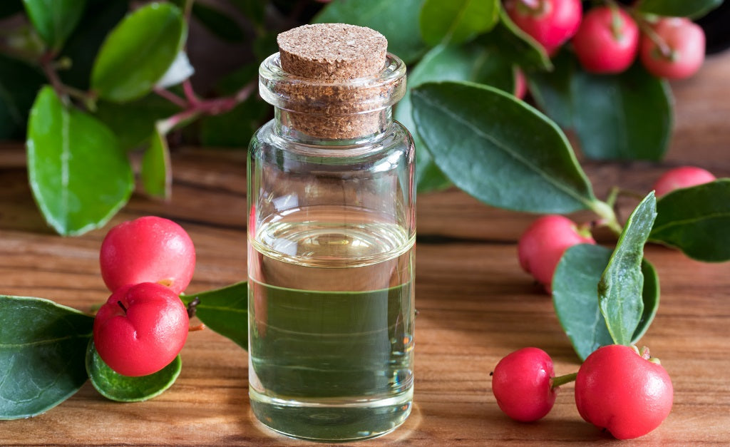 All You Need To Know About Wintergreen Oil