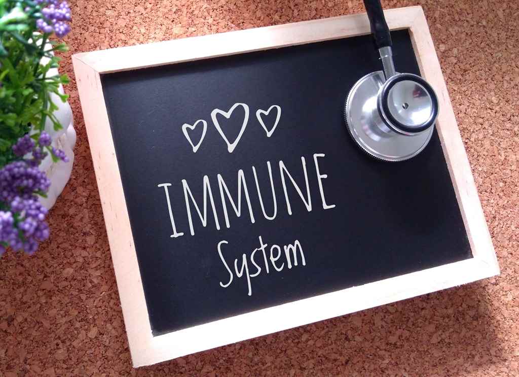 boost immune system naturally