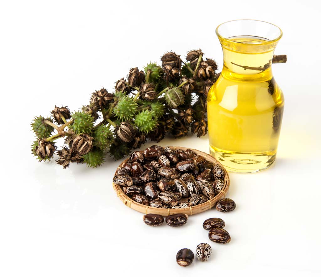 Benefits of Castor Oil