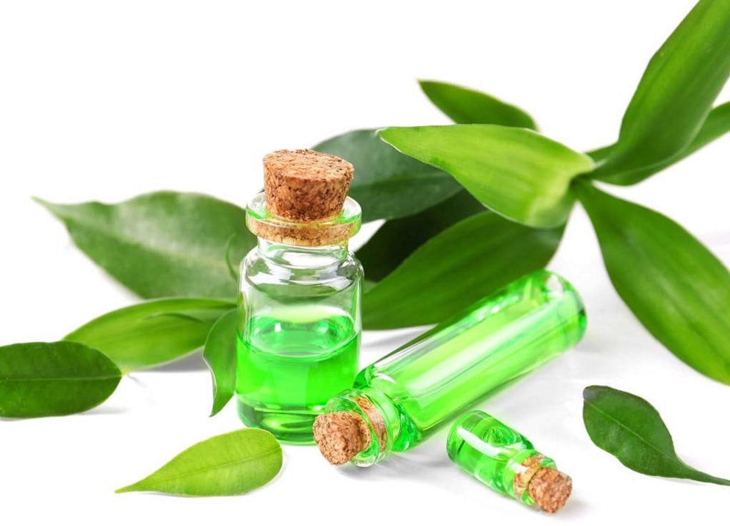 6 Benefits of Green Tea Oil