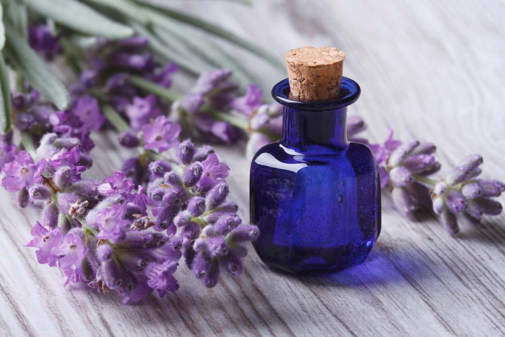 8 Benefits of Lavender Oil for Skin and Hair