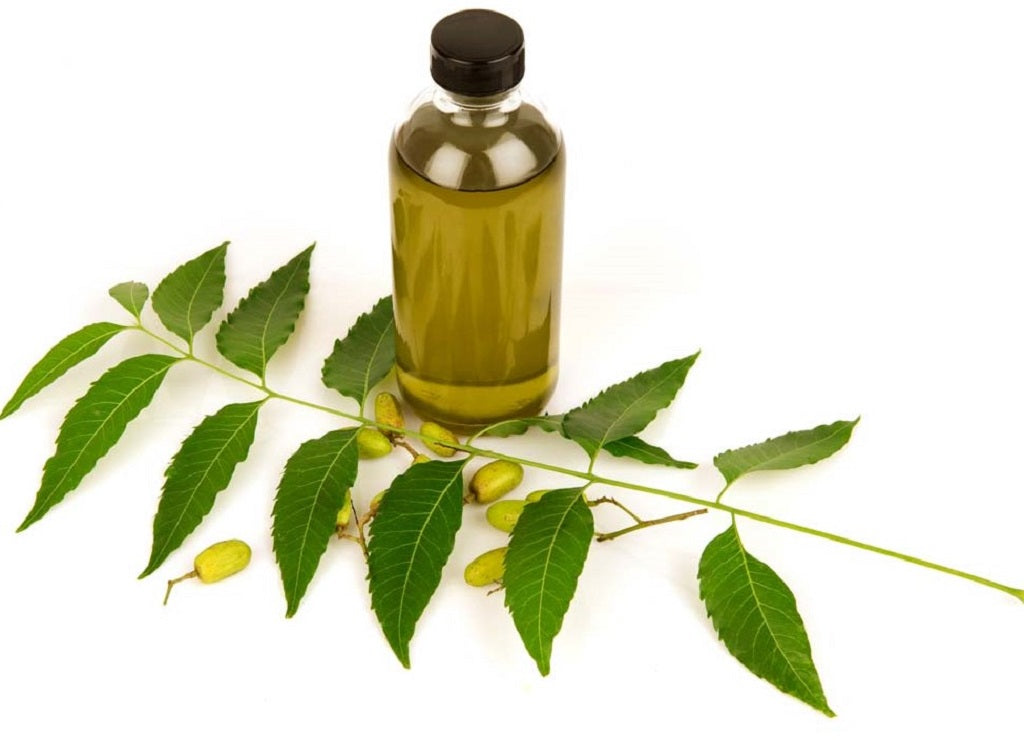 9 Benefits of Neem Oil for Skin and Hair