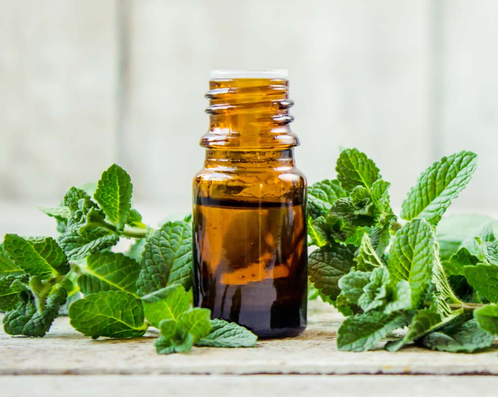7 Benefits of Peppermint Oil