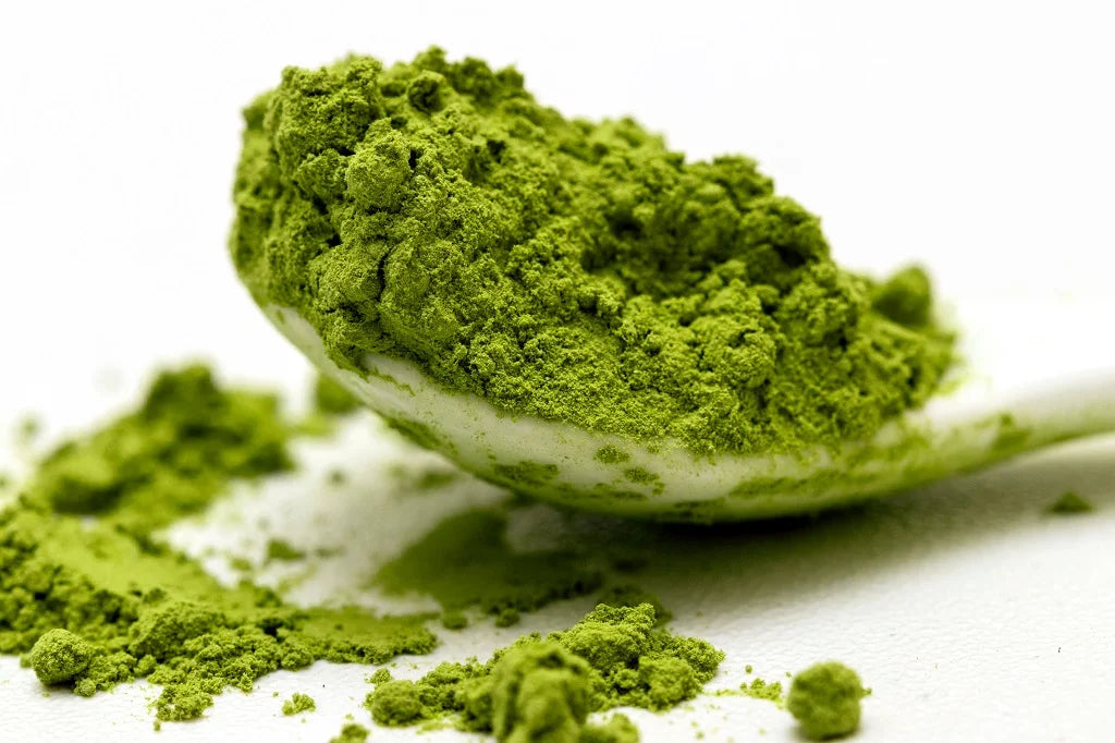 Green Tea Extract 