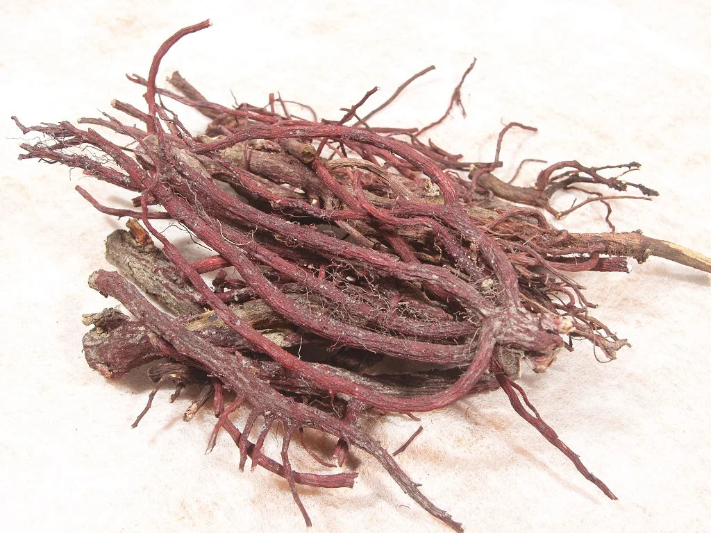 Lithospermum Erythrorhizon root extract