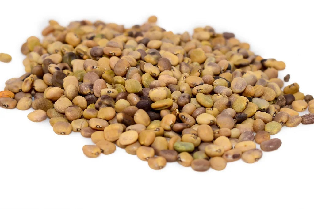 Guar Seeds