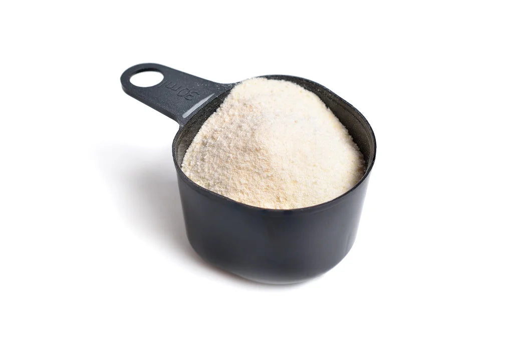 Sclerotium Gum